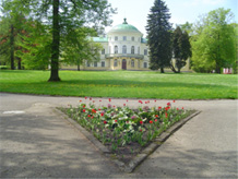 Institute Lituania
